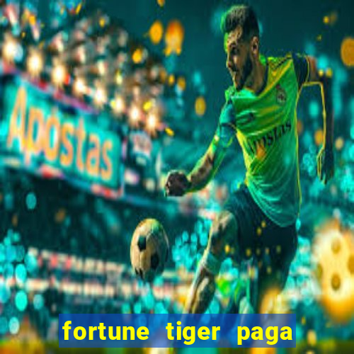 fortune tiger paga de madrugada